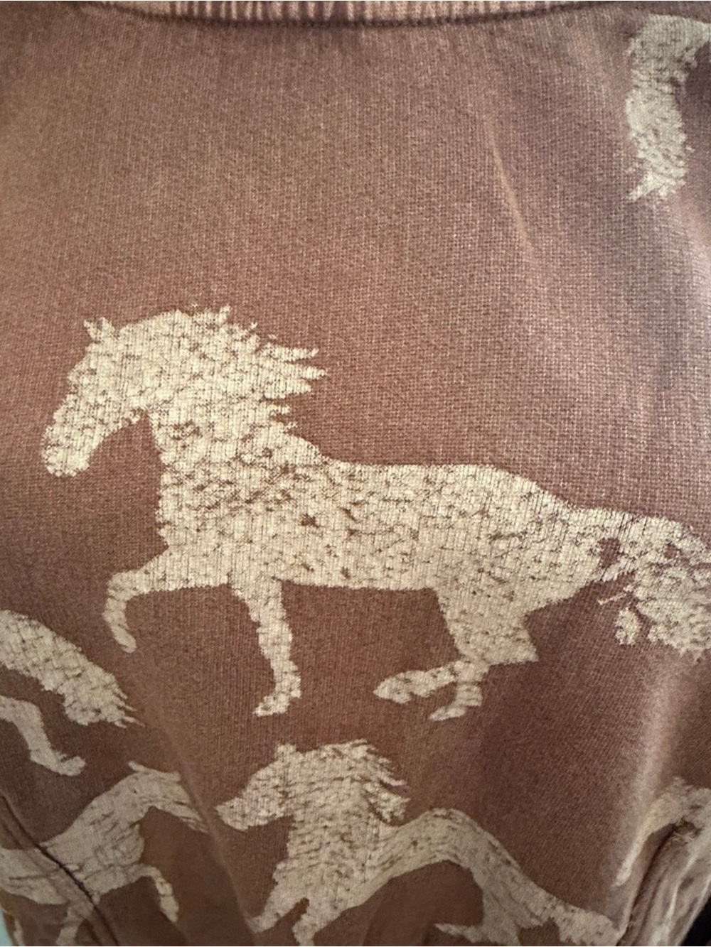 Free People Gaia Slouchy Wild Horses Sweatshirt XL Oversized NWT - Picture 4 of 10